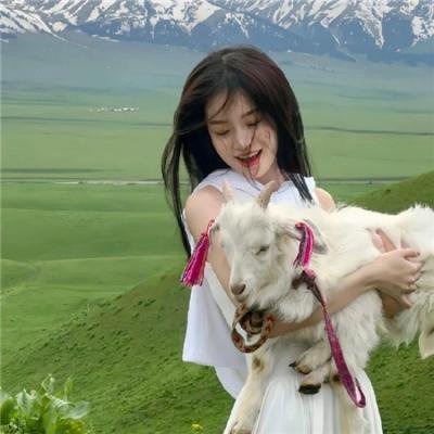 超级情报员麦汉第三集